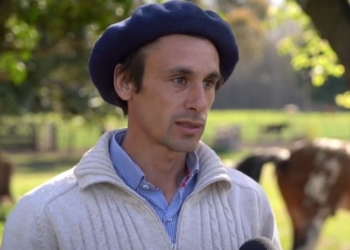 Emprendedores: Los hermanos Esponda abrieron en Tandil un centro de doma un mes antes de la pandemia y jamás les faltó trabajo