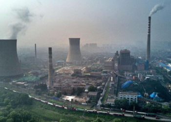 La crisis de oferta de los commodities energéticos volvió a “salvar” a la soja