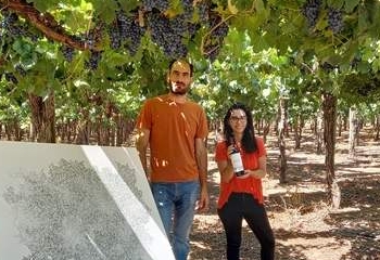 En la bodega riojana La Puerta, el agrónomo Javier Collovati impulsa mezclas de uvas con arte e historias