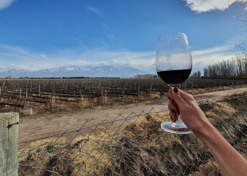 Empezó el fin de semana: Seis vinos tintos con una relación precio/calidad imbatible