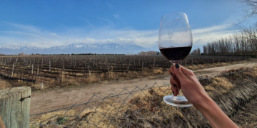 Empezó el fin de semana: Seis vinos tintos con una relación precio/calidad imbatible