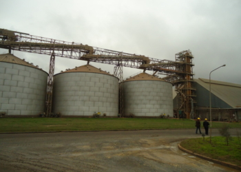 Se recuperó la molienda de soja aunque la industria asegura que sigue operando con márgenes negativos