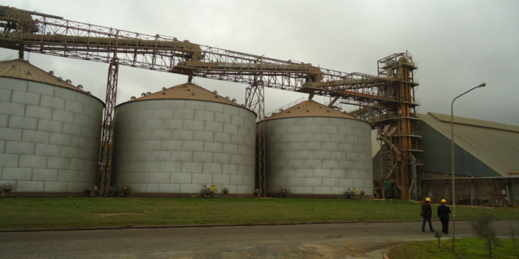 Se recuperó la molienda de soja aunque la industria asegura que sigue operando con márgenes negativos