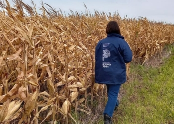 ¿Querés conocer cómo se trabaja en el campo? La Experimental de Miramar abrió sus tranqueras para todos los que quieran vivir la experiencia