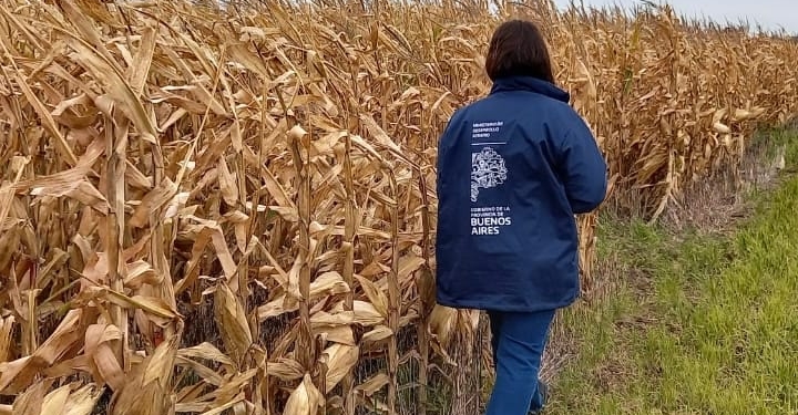 ¿Querés conocer cómo se trabaja en el campo? La Experimental de Miramar abrió sus tranqueras para todos los que quieran vivir la experiencia