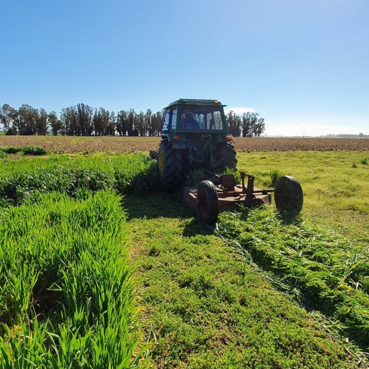 ¿Querés conocer cómo se trabaja en el campo? La Experimental de Miramar abrió sus tranqueras para todos los que quieran vivir la experiencia