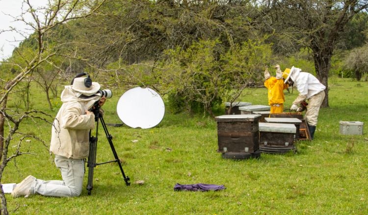 Con 7 años y un encanto sin igual, la “gnomita” Aimé explica con sus palabras cómo es la vida de los distintos bichos de campo