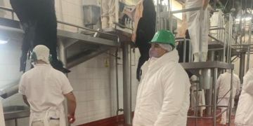 Otra vez un comunicado oficial vuelve a poner un manto de sospecha sobre el sector frigorífico argentino