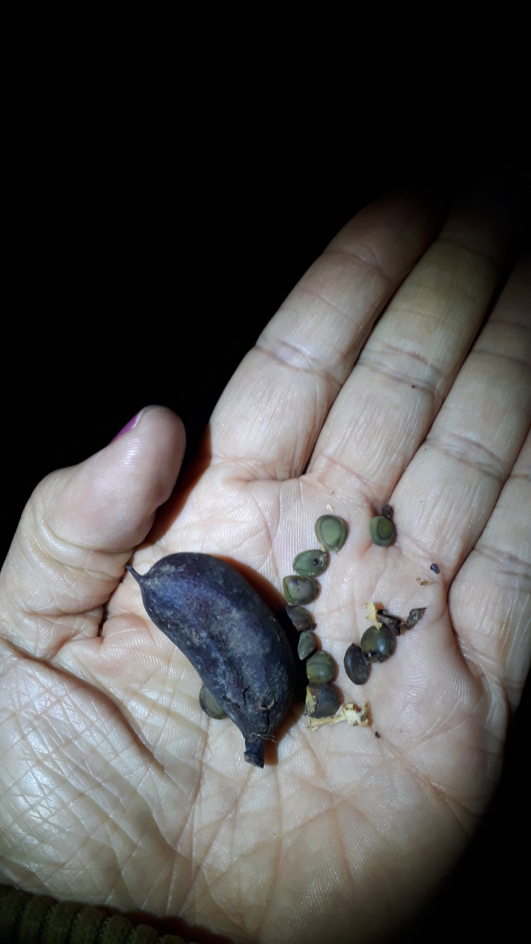 Fin de semana extra largo: Cuatro propuestas de turismo en el campo y un retiro de Tantra en la ciudad