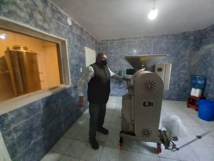 Pequeña gran lección del encargado de una finca: “Al olivo se lo llama planta vecera, porque a veces da, a veces no…”, dice Horacio Aguero