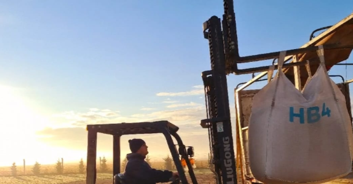 El Estado argentino publicará un documento para garantizar la comercialización de trigo libre de eventos transgénicos