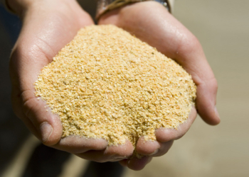 La soja argentina le “pasa el trapo” a la estadounidense gracias al empuje de la demanda de una nación asiática (que no es la que estás pensando)