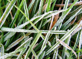El viernes ingresa un nuevo frente frío que podría provocar heladas en el centro de la provincia de Buenos Aires