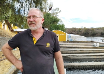 Todo comenzó pescando mojarritas: Sergio Salas cumplió su sueño de criar y sembrar truchas “con acento cordobés” en Traslasierra