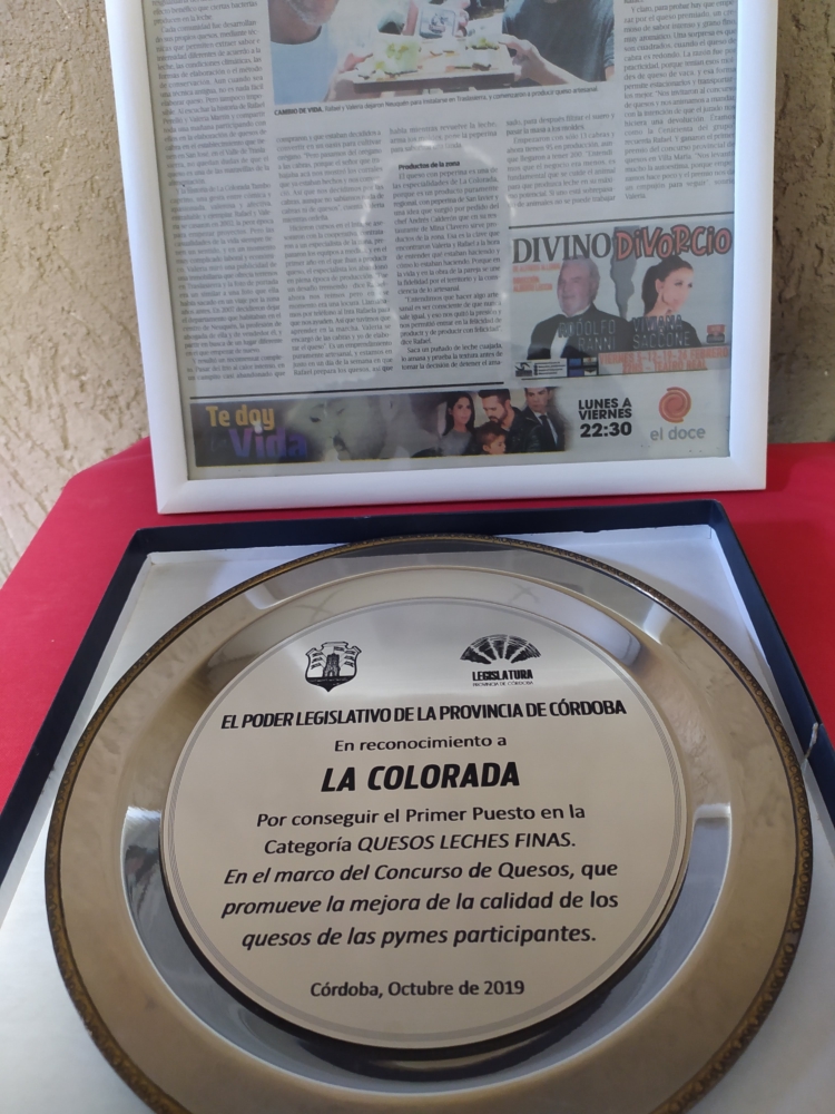 Querían sembrar orégano y terminaron criando cabras: Valeria y Rafael jamás pensaron en ser pastores y maestros queseros