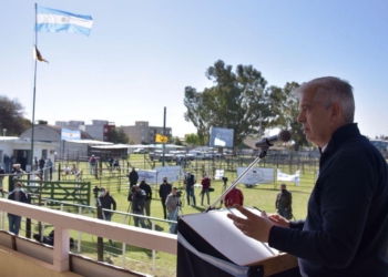 Preguntas incómodas ¿Por qué para el maíz sí pero para el trigo no?