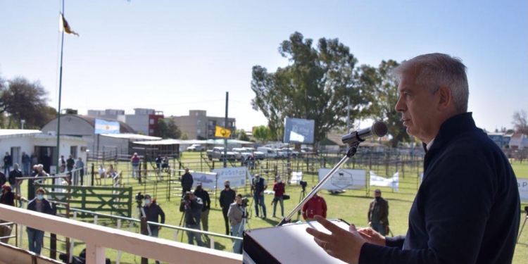 Preguntas incómodas ¿Por qué para el maíz sí pero para el trigo no?