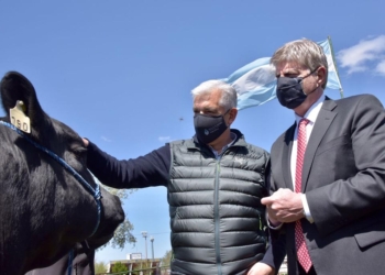 El proyecto de ley agroindustrial y la “teoría de los juegos”