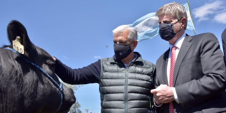 El proyecto de ley agroindustrial y la “teoría de los juegos”