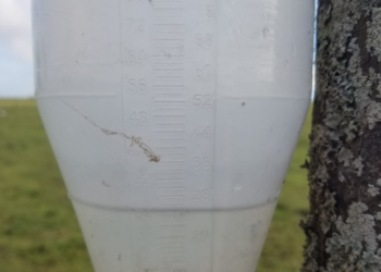 Niña no te tenemos miedo: Lluvias salvadoras le cambiaron la cara a la campaña gruesa en la zona núcleo pampeana