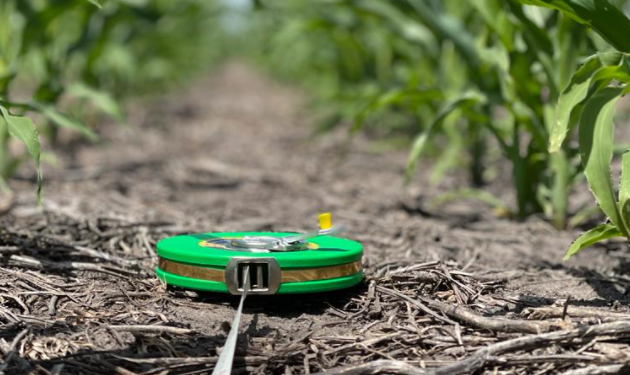 Argentina va camino a una siembra récord histórica de maíz tardío y los mercados lo saben