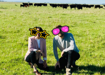 Los productores de hacienda de exportación siguen esperando (sentados) el “efecto derrame” de la suba de los valores internacionales