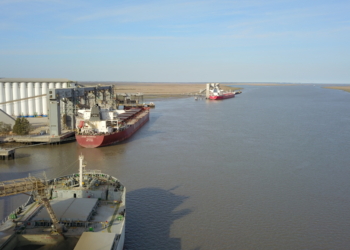 Clink Caja: En lo que va de octubre los exportadores de trigo ya pagaron retenciones adelantadas por más de 60 millones de dólares