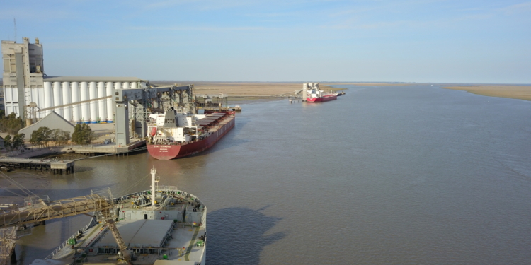 Clink Caja: En lo que va de octubre los exportadores de trigo ya pagaron retenciones adelantadas por más de 60 millones de dólares