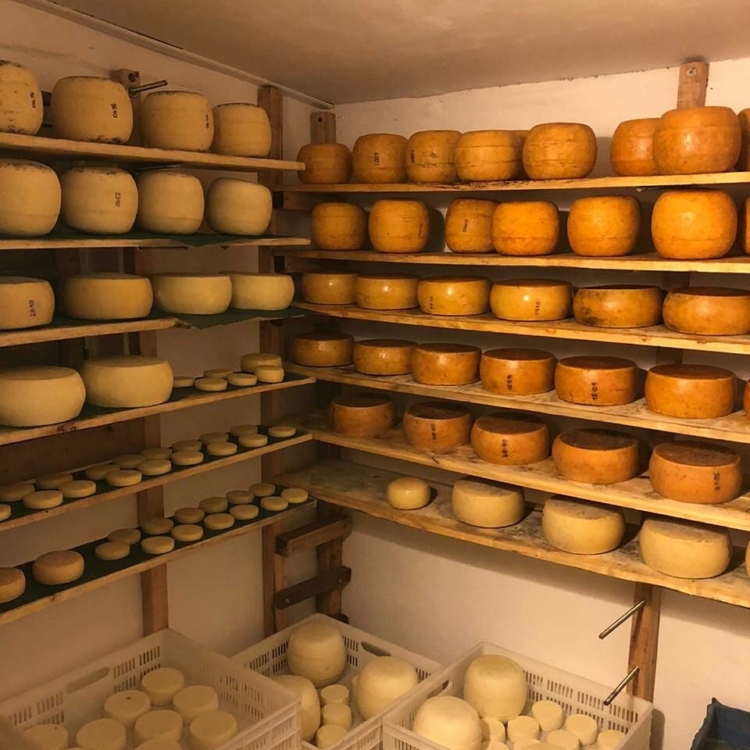 Ignacio y Soledad: La pequeña gran historia de dos jóvenes agrónomos que decidieron producir quesos de cabra (y barritas de dulce de leche) en Yacanto