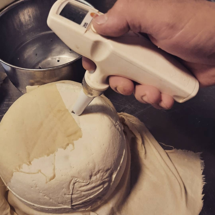 Ignacio y Soledad: La pequeña gran historia de dos jóvenes agrónomos que decidieron producir quesos de cabra (y barritas de dulce de leche) en Yacanto