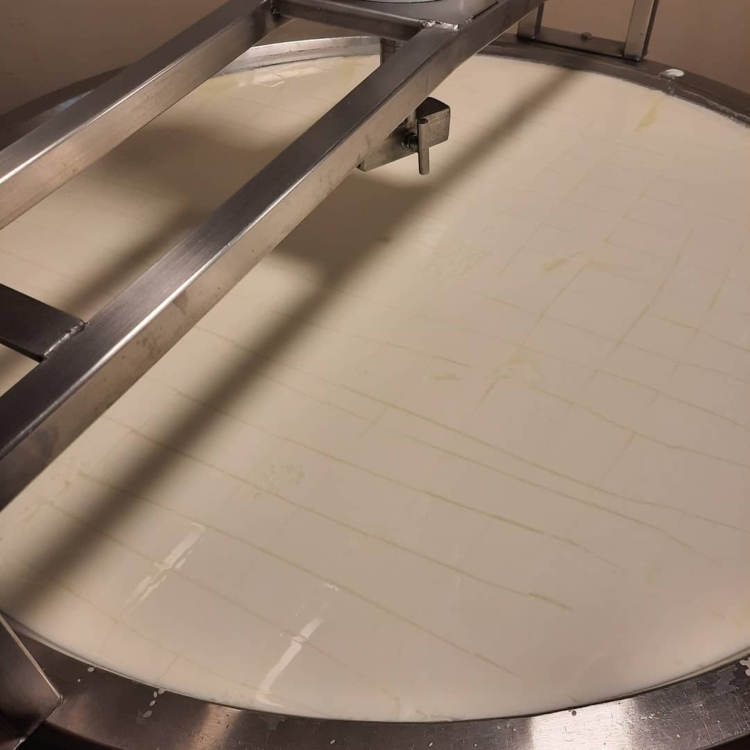 Ignacio y Soledad: La pequeña gran historia de dos jóvenes agrónomos que decidieron producir quesos de cabra (y barritas de dulce de leche) en Yacanto