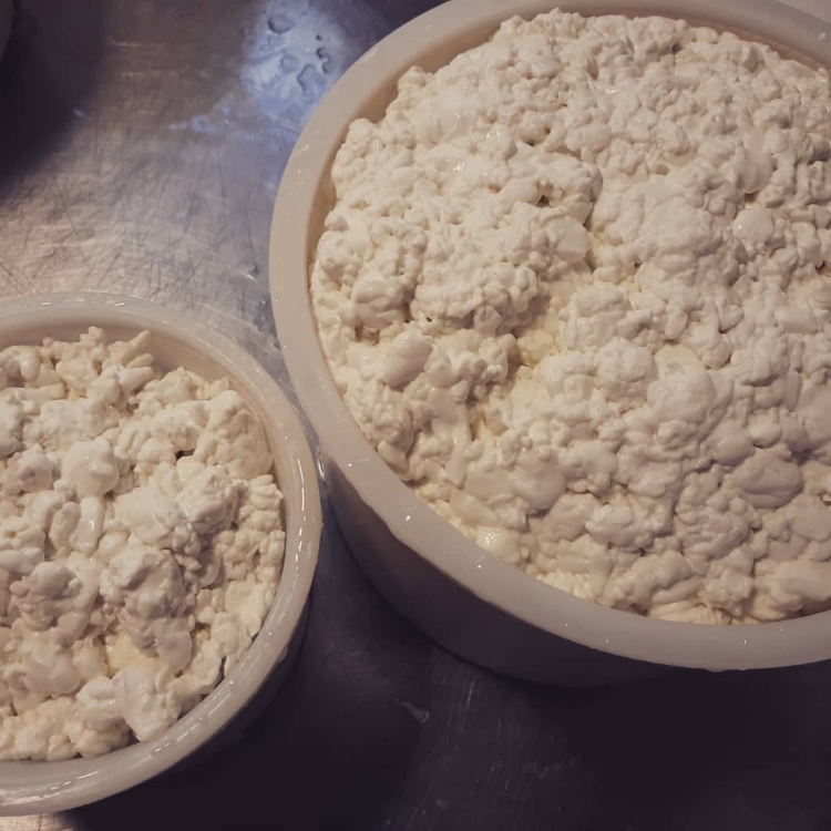 Ignacio y Soledad: La pequeña gran historia de dos jóvenes agrónomos que decidieron producir quesos de cabra (y barritas de dulce de leche) en Yacanto