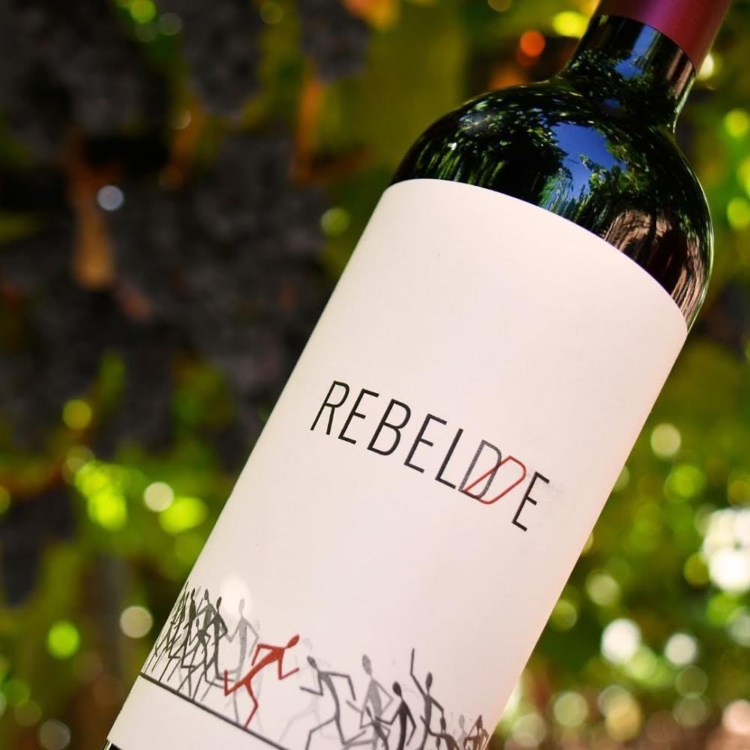 En la bodega riojana La Puerta, el agrónomo Javier Collovati impulsa mezclas de uvas con arte e historias