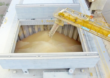 La soja argentina se “divorció” de la estadounidense para reflejar la oportunidad comercial presente en Sudamérica