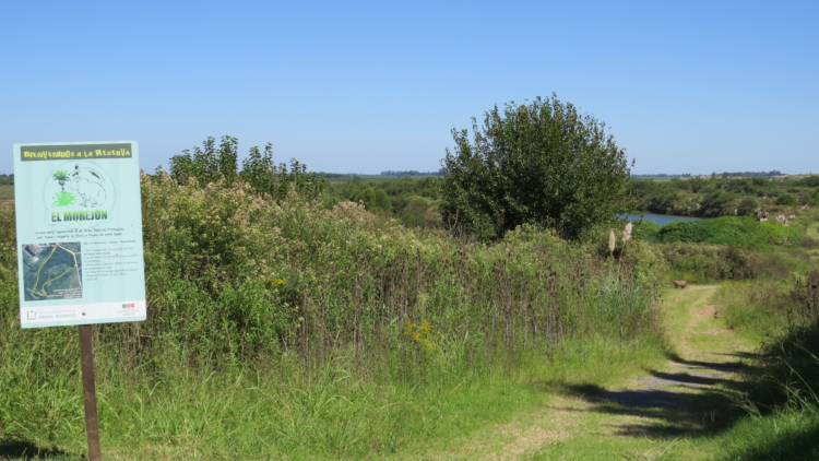 Del Perito Moreno a Douglas Tompkins: En la Argentina las áreas protegidas creadas por privados tienen una larga historia, pero se necesita mucho más