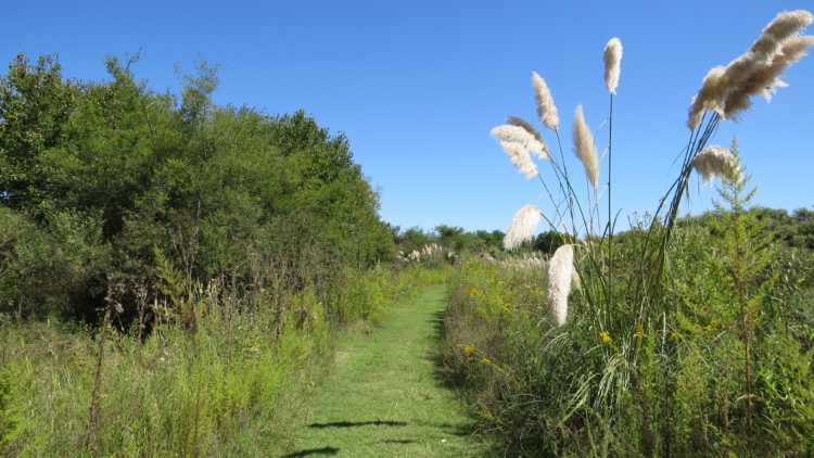 Del Perito Moreno a Douglas Tompkins: En la Argentina las áreas protegidas creadas por privados tienen una larga historia, pero se necesita mucho más