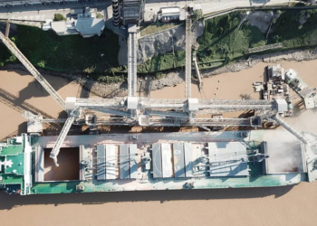 Casi el 32% del total de las exportaciones argentinas de bienes corresponde a productos del complejo sojero