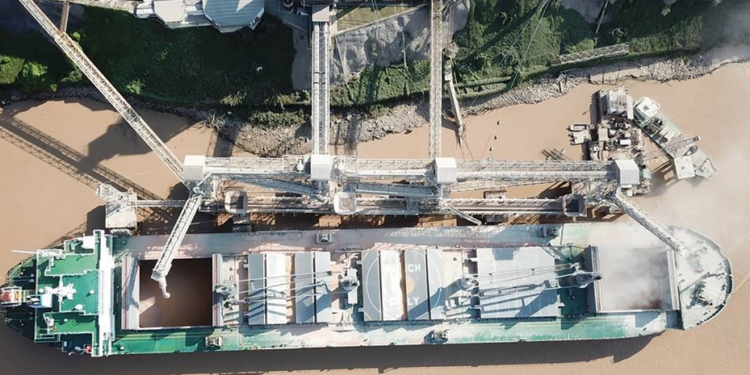 Casi el 32% del total de las exportaciones argentinas de bienes corresponde a productos del complejo sojero