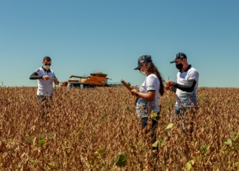 Brasil sube la apuesta para seguir consolidándose como el mayor productor de soja del mundo