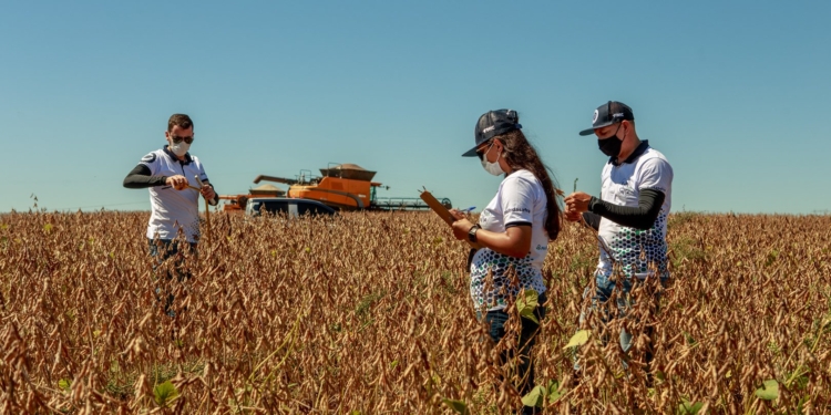 Brasil sube la apuesta para seguir consolidándose como el mayor productor de soja del mundo