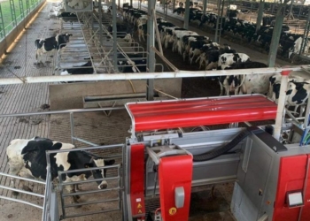 Gracias a la “revolución silenciosa” la lechería argentina se las arregló para aumentar la productividad a una tasa promedio del 2,7% anual a pesar de todas las dificultades