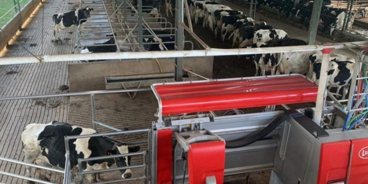 Gracias a la “revolución silenciosa” la lechería argentina se las arregló para aumentar la productividad a una tasa promedio del 2,7% anual a pesar de todas las dificultades