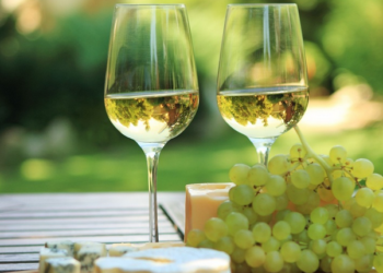 Estamos en la semana del Torrontés: Seis vinos recomendados para homenajear a la variedad criolla argentina más famosa