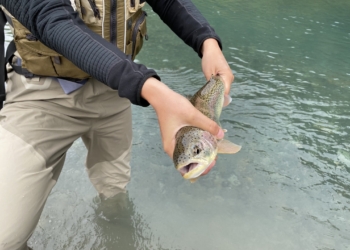 Agroempresas: Newsan Food anunció plan de inversión de 22 millones de dólares para producir trucha arcoíris