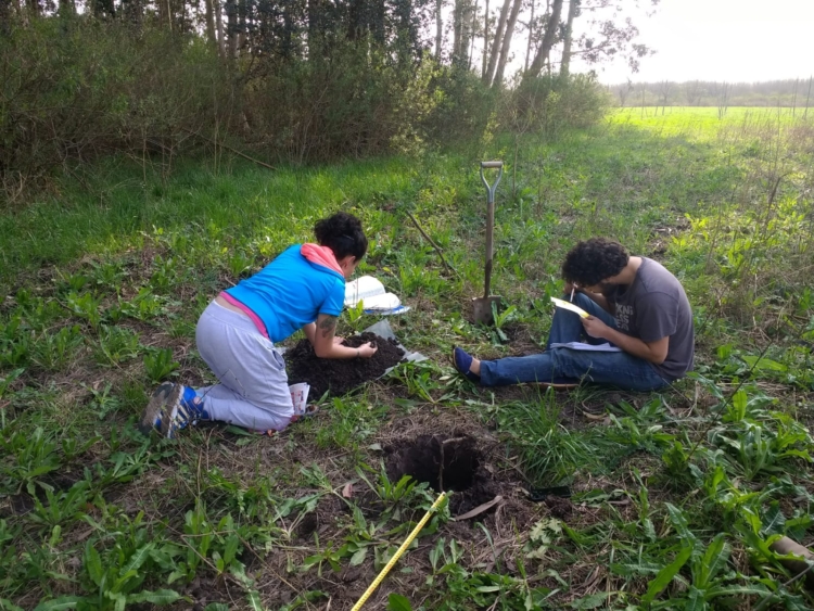 Ensayos en peligro: Docentes de la Universidad de Luján denuncian que hay interés por urbanizar parte del campo universitario a través de créditos Procrear