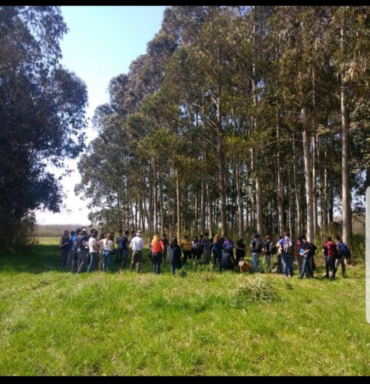 Ensayos en peligro: Docentes de la Universidad de Luján denuncian que hay interés por urbanizar parte del campo universitario a través de créditos Procrear