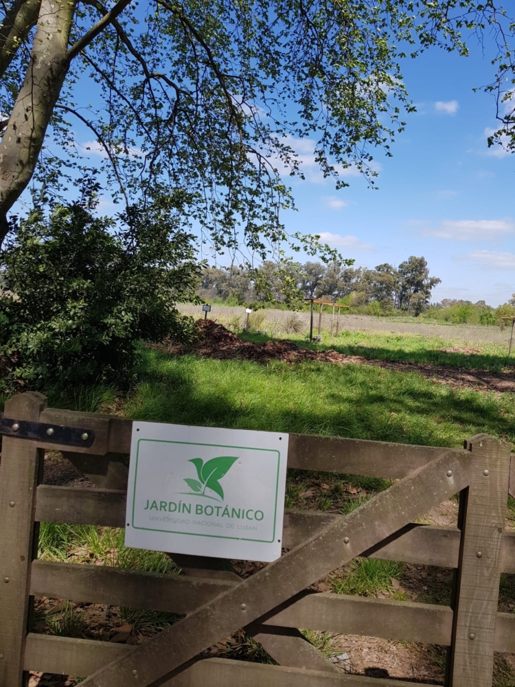 Ensayos en peligro: Docentes de la Universidad de Luján denuncian que hay interés por urbanizar parte del campo universitario a través de créditos Procrear