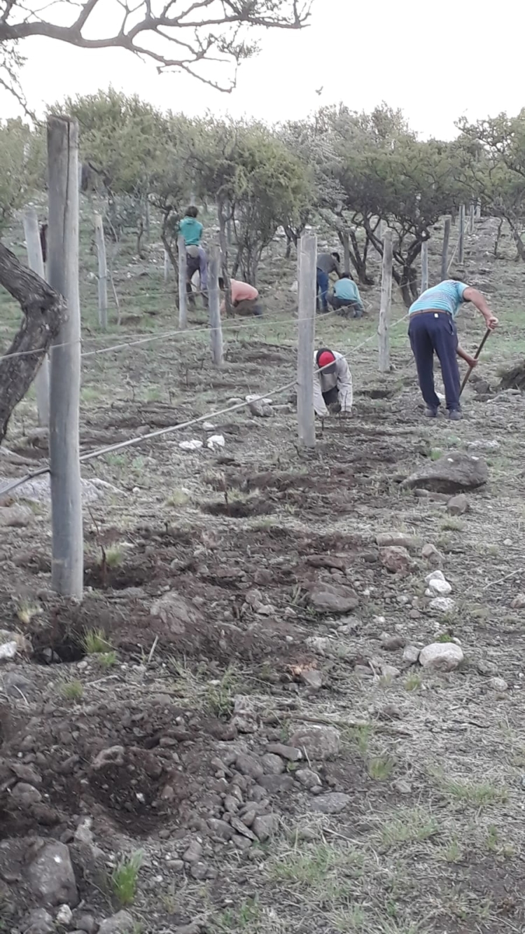 José Zarco construyó su propio paraíso arriba de los cerros: Un agrónomo que se especializó en mejorar el paisaje con materiales del mismo paisaje
