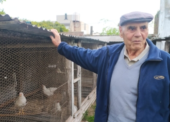 La increíble historia de Néstor Delgado: Compró unas gallinas para comer y hoy, con casi 86, sigue siendo el más veterano criador de aves de raza en Rauch