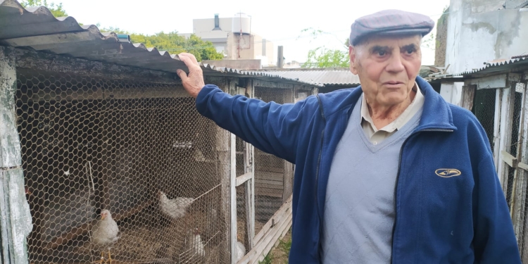 La increíble historia de Néstor Delgado: Compró unas gallinas para comer y hoy, con casi 86, sigue siendo el más veterano criador de aves de raza en Rauch